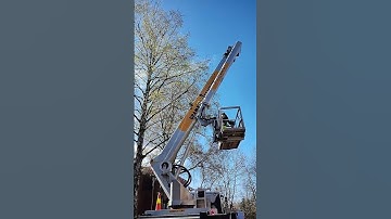 Nhân Viên Cây Xanh Cắt Tỉa Cây Dọn Dẹp Cho Mùa Xuân, 03.05.2023