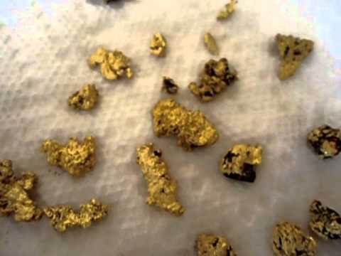 cleaning-arizona-gold-nuggets-with-ultrasonic-cleaner,-part-2