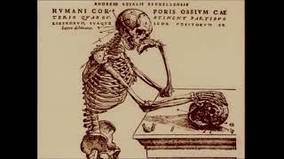Skeleton: The Movie