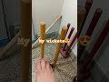 my wickets 😍bas itni video bani ha😥#sports #collection #youtubeshorts