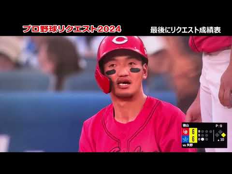 【2024年プロ野球リクエスト場面集】その4Bたっぷりベイ 日本一おめでとう! リクエスト成績比較 2023年と2024年を比較!判定しやすいように映像拡大編集!