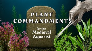 The 5 Aquarium Plant Laws Beginners Should Never Break