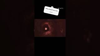 ignited freddy has no chill #fnaf #fnafanimation #thejoyofcreationstorymode #animation #fnaf ignited freddy has no chill #fnaf #fnafanimation #thejoyofcreationstorymode #animation #fnaf