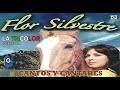 Cantos y Cantares de FLOR SILVESTRE (Exitos rancheros de LA TRICOLOR)