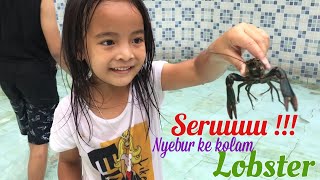 Serunya Nyebur Ke Kolam Lobster Zara Menangkap Lobster Dan Ikan Melatih Keberanian Anak