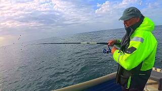 Abundance Of Fish In Unusual Weather