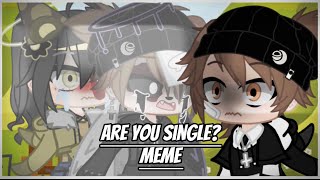 Are You Single? Meme C.c X Cidy