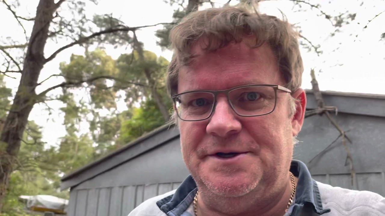 Hunting European Wasp Queens during winter Down-Under Melbourne Australian