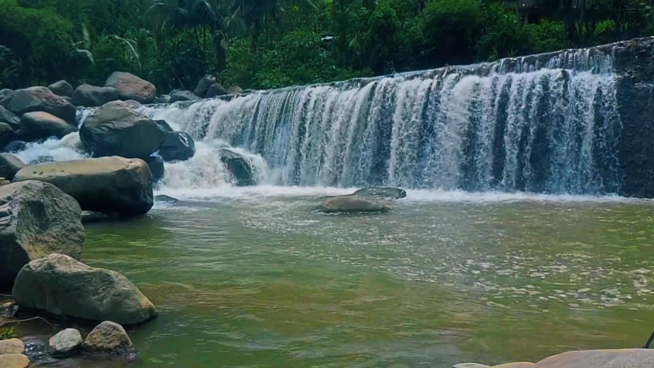 Waterfall Flow in a Tranquil Forest Setting – Natural White Noise for Sleep and Stress Relief.