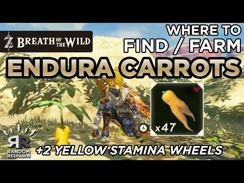 zelda:-breath-of-the-wild---where-to-find/farm-endura-carrots-(+2-yellow-stamina-wheels)