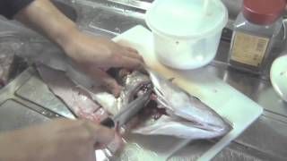やっとこさ大物GET!　小川島で泳がせ釣り！　3/3