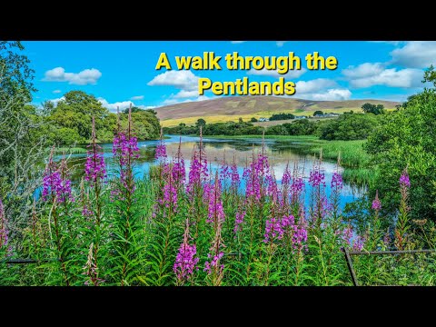 A walk through the Pentland Hills (4K)