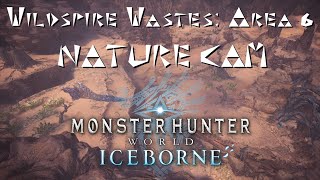Wildspire Wastes: Area 6 Nature Cam