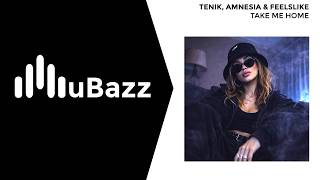 Tenik, Amnesia, FeelsLike - Take Me Home