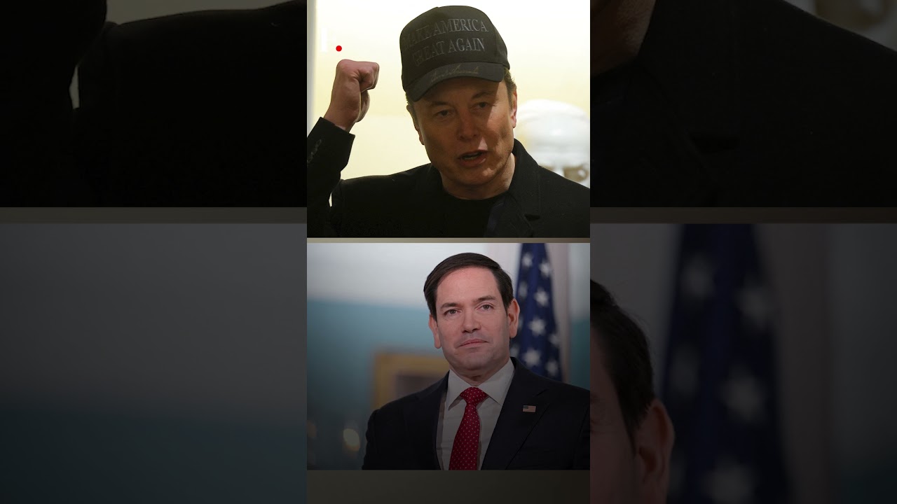 Musk and Marco Rubio Insult Each Other In Trump's Cabinet Meeting | Subscribe to Firstpost | N18G
