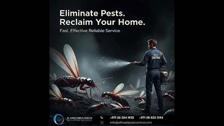 Eliminate Pests in Dubai | Fast & Reliable Pest Control Services 🐜🚫 | Al Haad