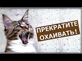 Аксель Франк, хватит охаивать!