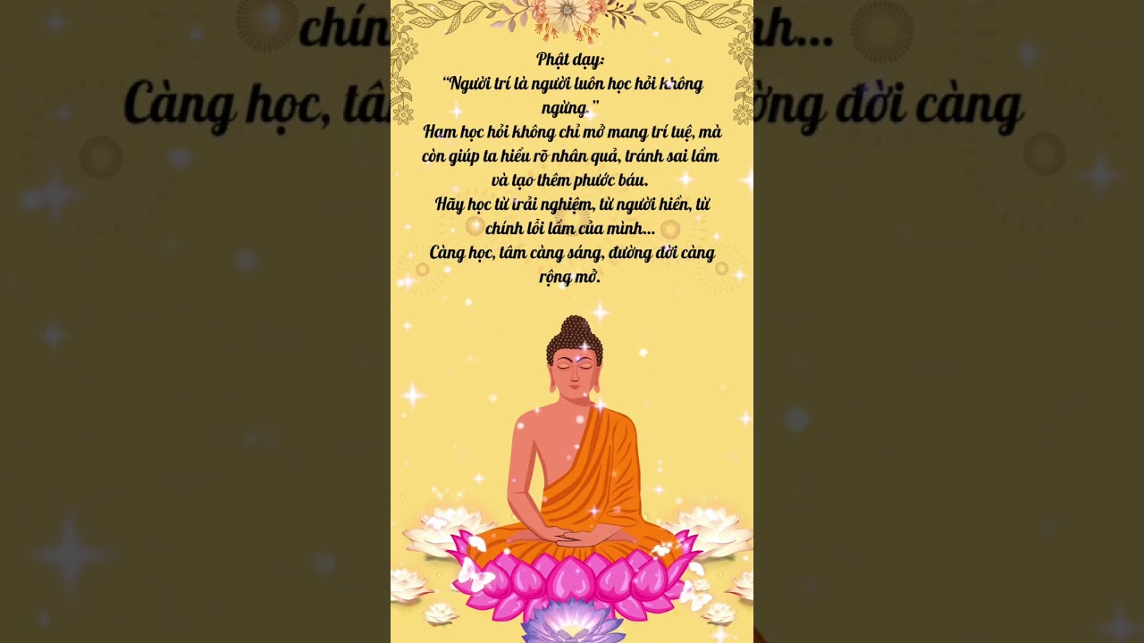 Ham Học Hỏi Mỗi Ngày 