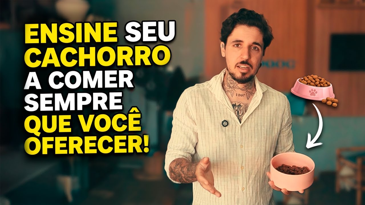 Ensine seu cachorro a comer SEMPRE que você oferecer!
