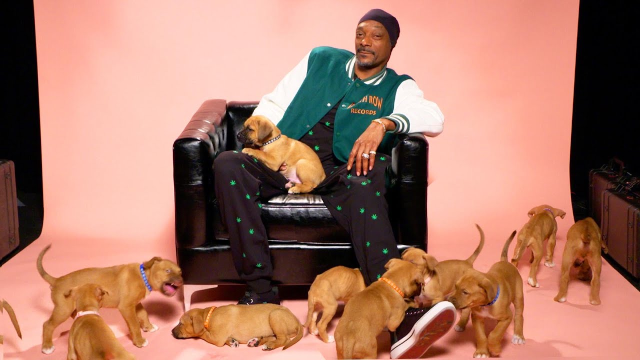 Snoop Dogg Interview: The Underdoggs Film, Mike Epps, and Possible Return to the Kitchen