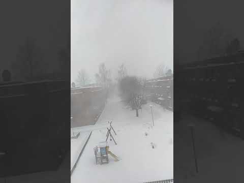 Umeå in winter