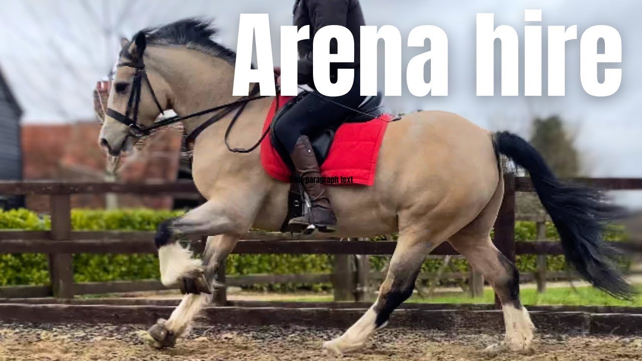 SCHOOLING ARENA HIRE tack up and ride with me will my horse be ready