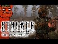 [Tomato] STALKER Anomaly : Call of Pripyat The Swamp lands are my favorite