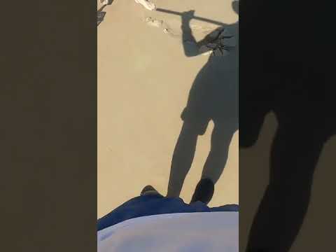 1966 Tanzania 1 Shilling Coin Found On The Worlds Most Famous Beach DaytonaBeach