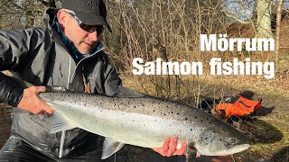 Mörrum Salmon fishing