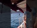 Heybeliada'da Can Pazarı! Yatın Çarptığı Tekne Battı #shorts