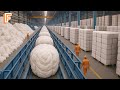 How Millions Of Tons Of Cotton Are Made Into Clothes Inside Massive Factory Lines