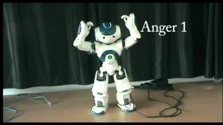 Emotion Expression with NAO (Ro-Man 2011)