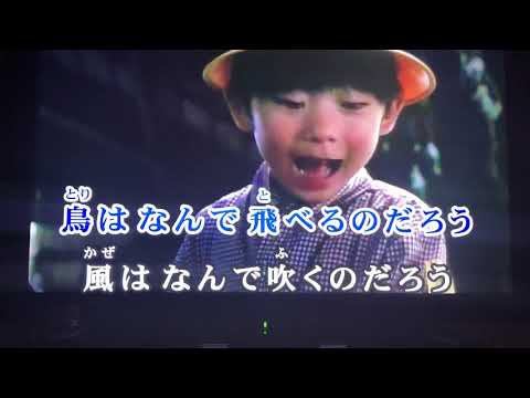 花/ORANGE RANGE cover  歌ってみた