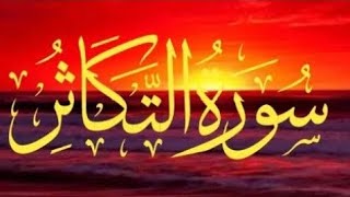 Hazrat Shaikh Al Minshawi Surah At Takasur