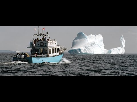 northland discovery boat tour northland discovery s iceberg whale and seabird tours northland discovery boat tour northland discovery s iceberg whale and seabird tours