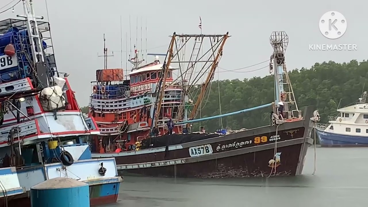 เรืออวนดำ หาปลากลางวัน?กลับบ้านกลางคืน!นางย่อนหน้าลม!Nang(Mrs.)Yon Midnight june 2025