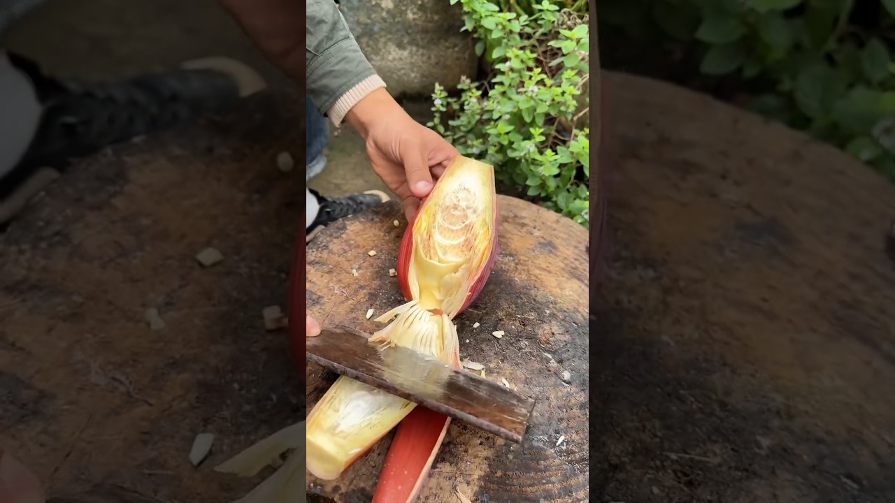 St 464071 mini rotary tillage and ridging all-in one tree 🌲 short view 