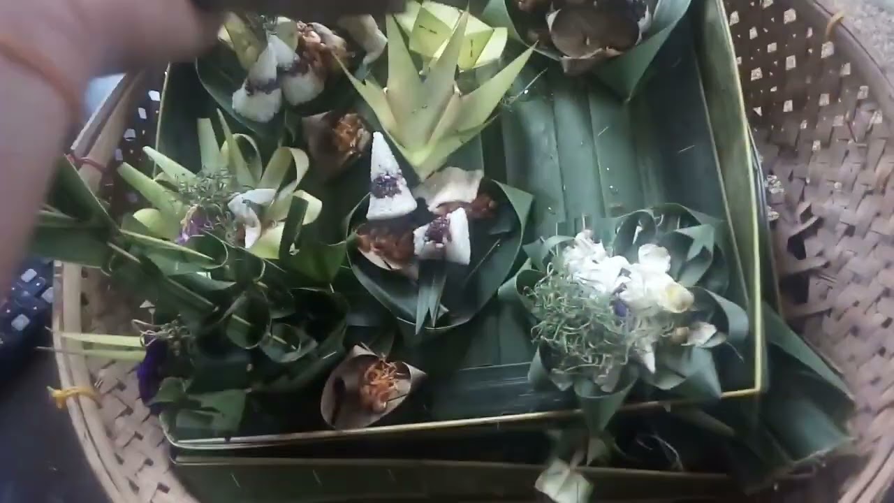 Caru belang kalung