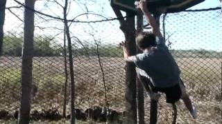 failures of the art of dunks Information