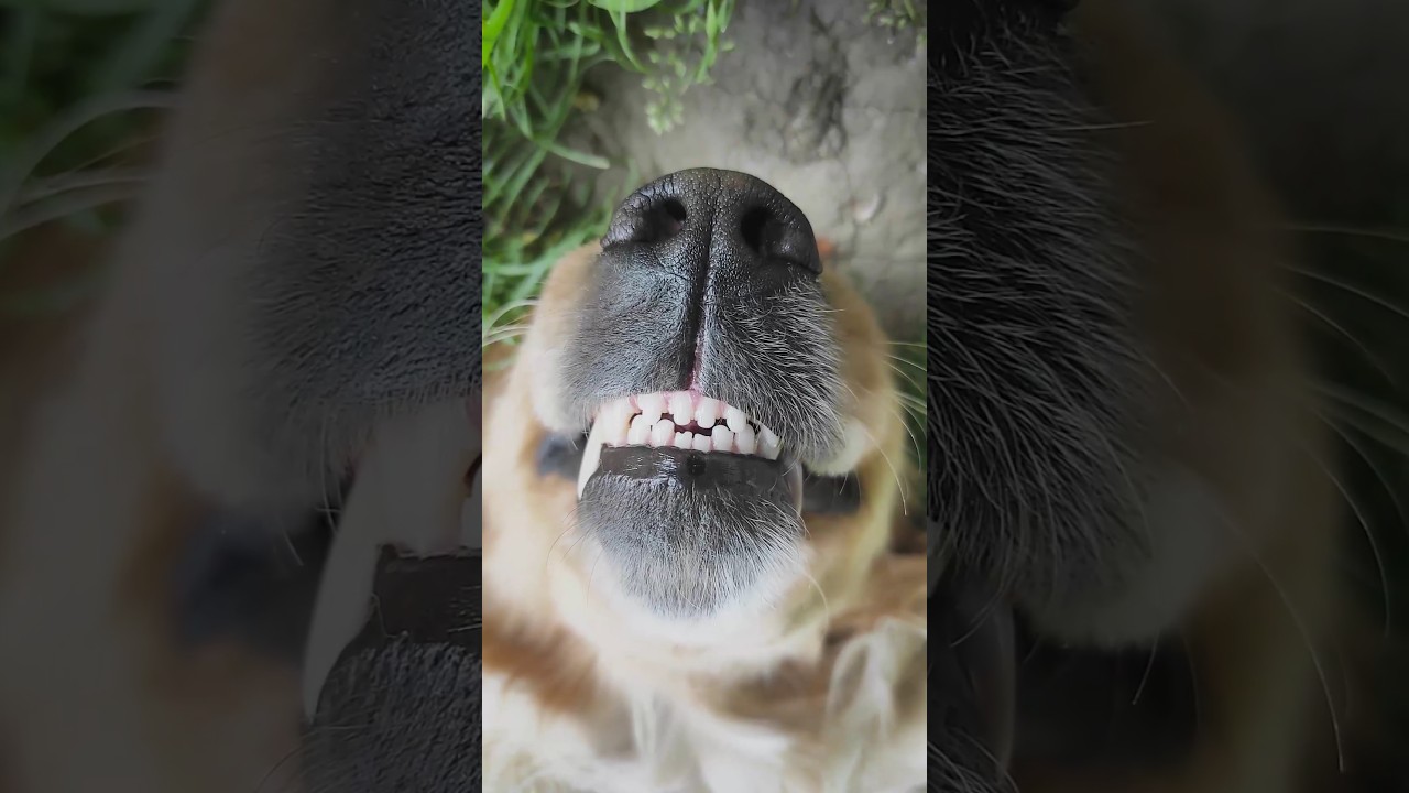 "Dobre wiadomości" w każdą środę! 