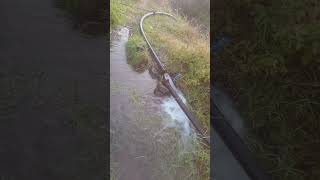 my daily routine work🌾 விவசாயம்