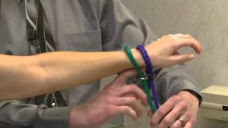 Animal Hospital Dog Death