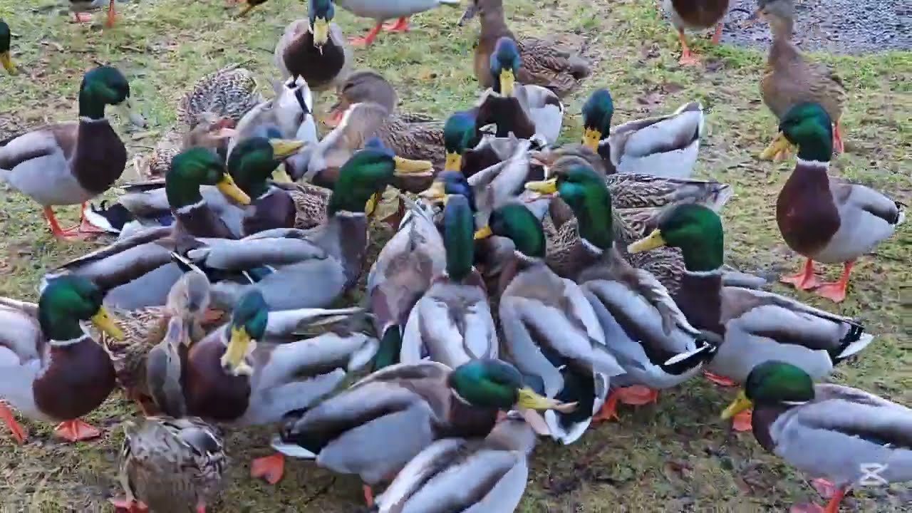 På tur rundt Orrtuvatnet 