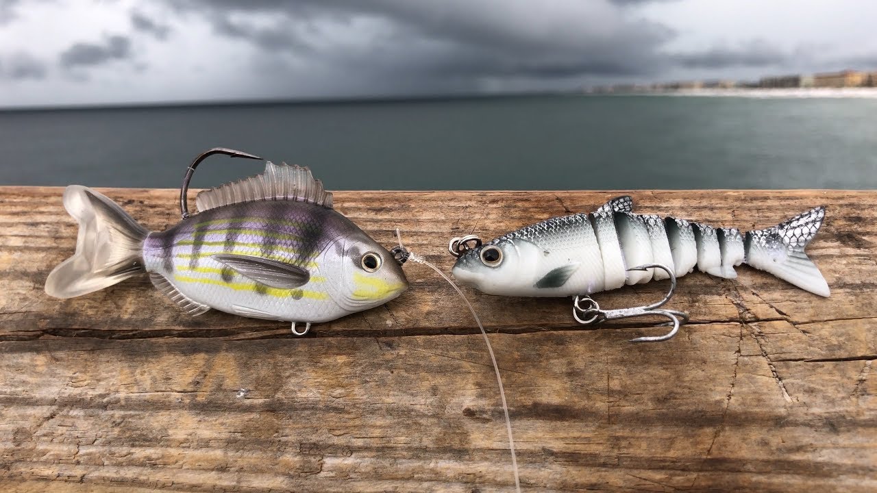 Swimbait Vs Swimbait CHALLENGE! YouTube