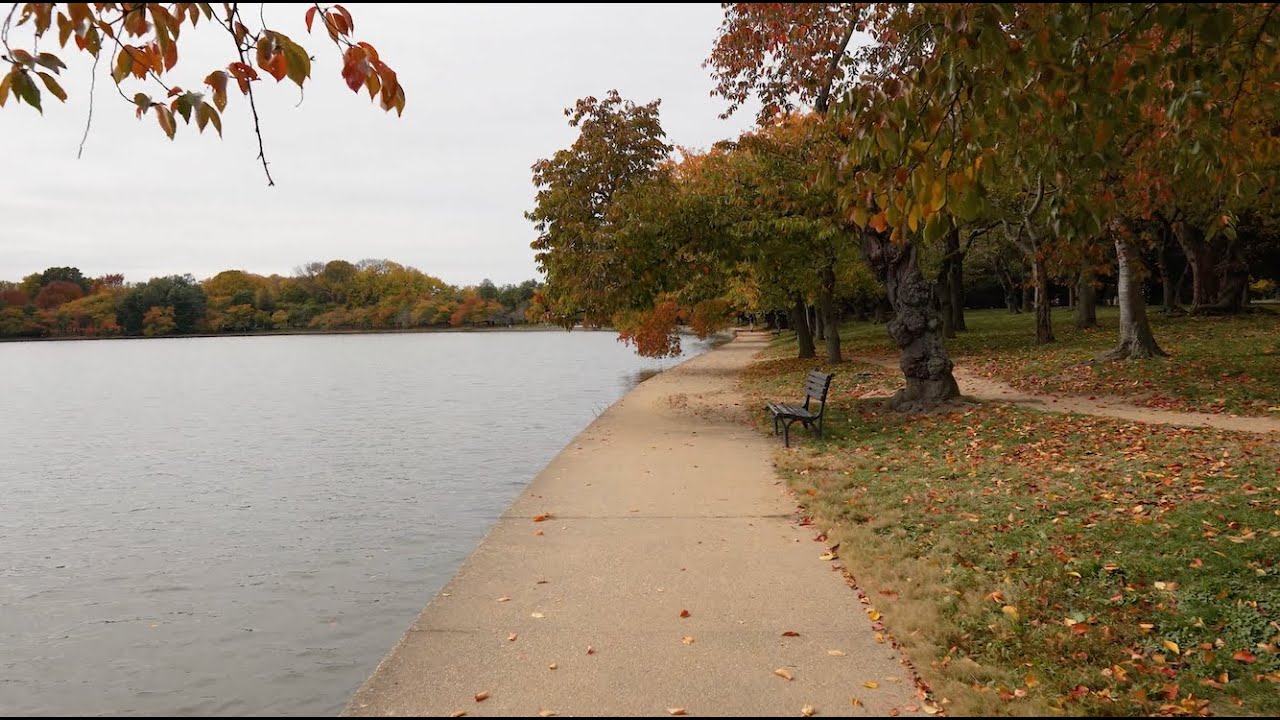 West Potomac Park | Washington D.C.