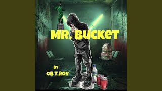 Mr.Bucket