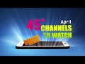 Download the StarTimes App now for FREE! - YouTube