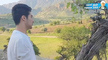 سورة الفاتحة بصوت القارئ محمد عبدالكريم