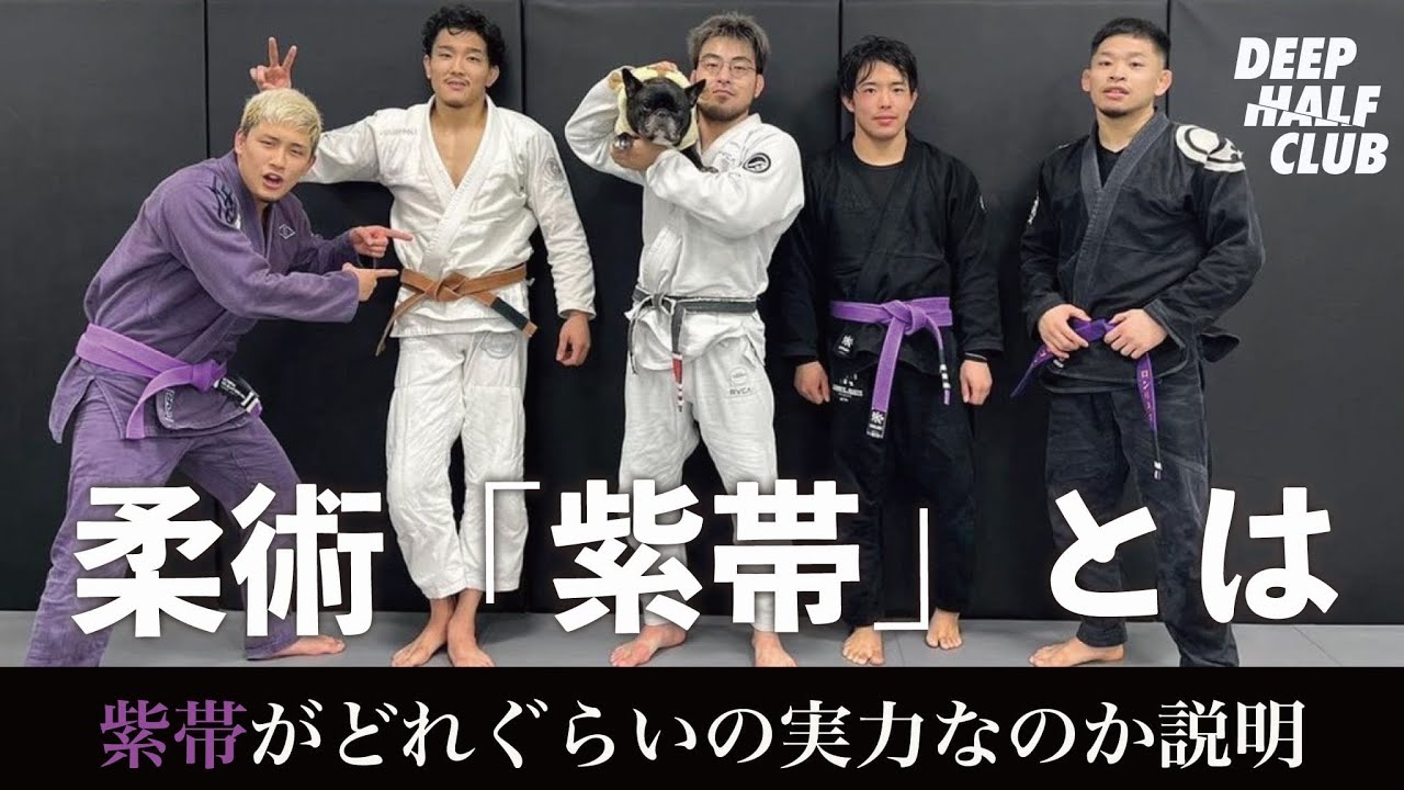 I explained how much skill a purple belt in Jiu-Jitsu requires 