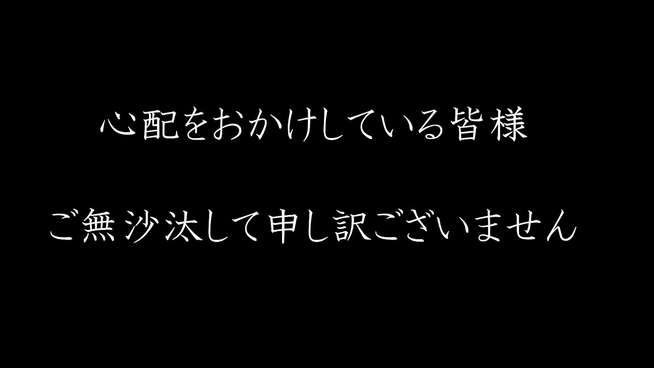 ご報告